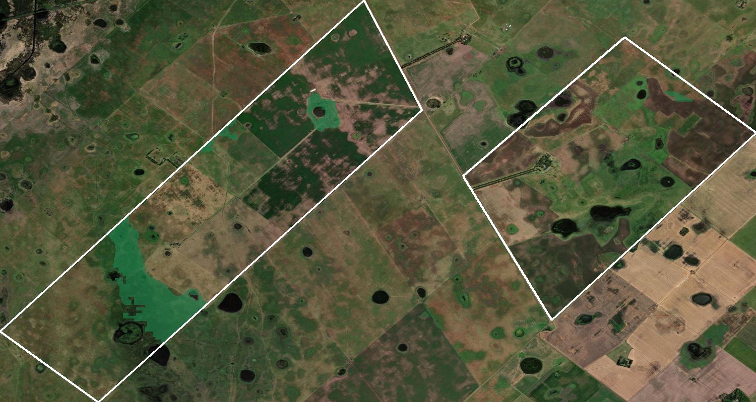 Oportunidad de siembra de El Puesto: 59 ha de suelo bueno hoy en pastura, en verde sobre imagen satelital